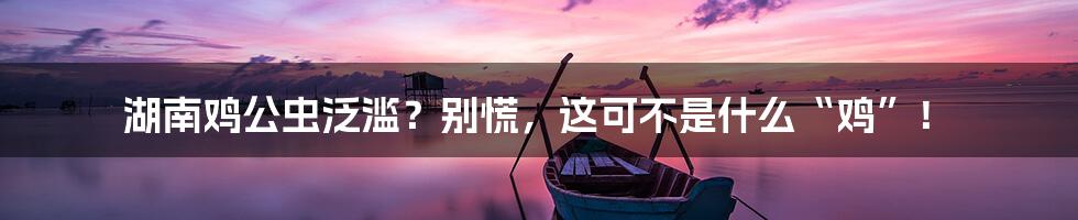 湖南鸡公虫泛滥?别慌,这可不是什么“鸡”!