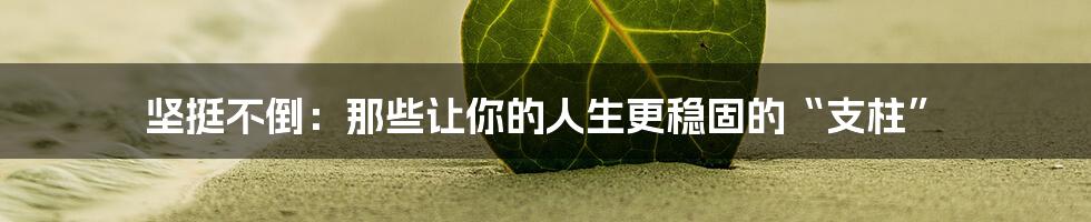 坚挺不倒:那些让你的人生更稳固的“支柱”