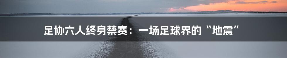 足协六人终身禁赛:一场足球界的“地震”