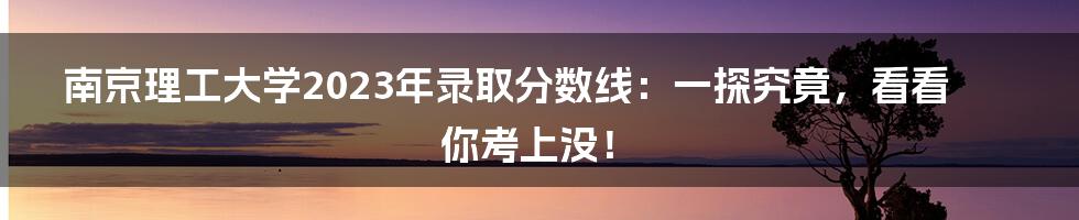 南京理工大学2023年录取分数线:一探究竟,看看你考上没!