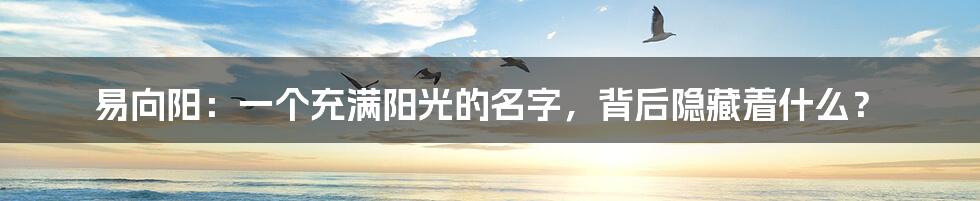 易向阳:一个充满阳光的名字,背后隐藏着什么?