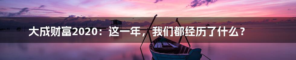 大成财富2020:这一年,我们都经历了什么?