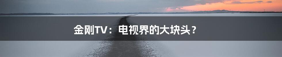 金刚TV:电视界的大块头?