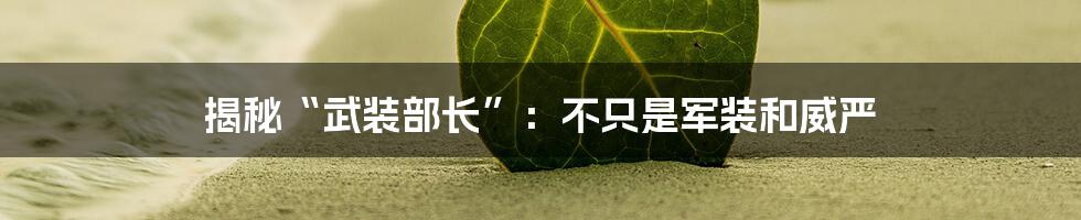 揭秘“武装部长”:不只是军装和威严