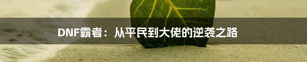 DNF霸者:从平民到大佬的逆袭之路