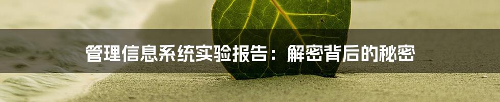 管理信息系统实验报告:解密背后的秘密