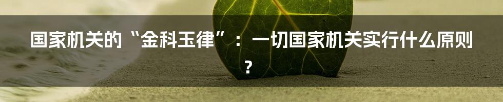 国家机关的“金科玉律”:一切国家机关实行什么原则?