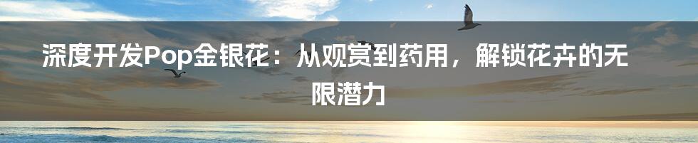 深度开发Pop金银花:从观赏到药用,解锁花卉的无限潜力