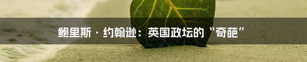 鲍里斯·约翰逊:英国政坛的“奇葩”