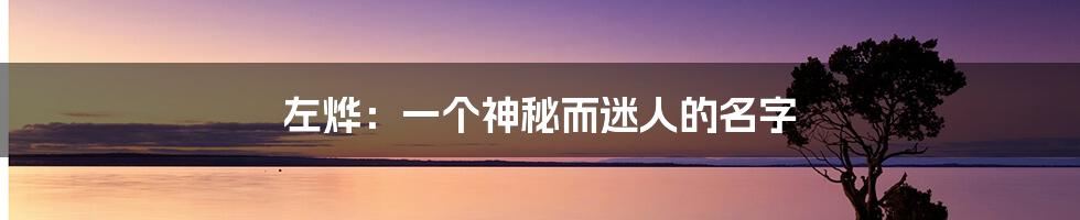 左烨:一个神秘而迷人的名字