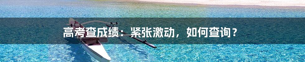 高考查成绩:紧张激动,如何查询?