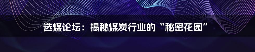 选煤论坛:揭秘煤炭行业的“秘密花园”