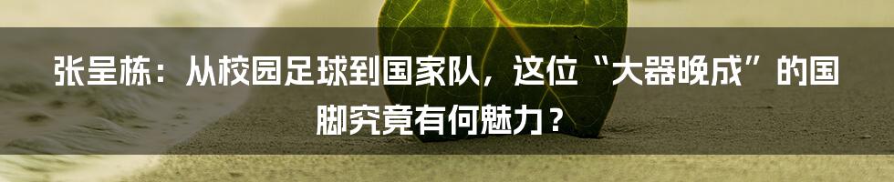 张呈栋:从校园足球到国家队,这位“大器晚成”的国脚究竟有何魅力?