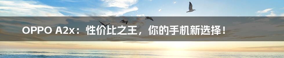 OPPO A2x:性价比之王,你的手机新选择!