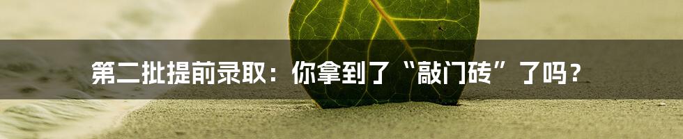 第二批提前录取:你拿到了“敲门砖”了吗?