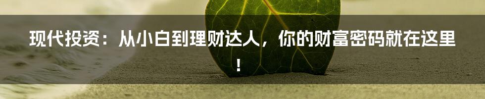 现代投资：从小白到理财达人，你的财富密码就在这里！
