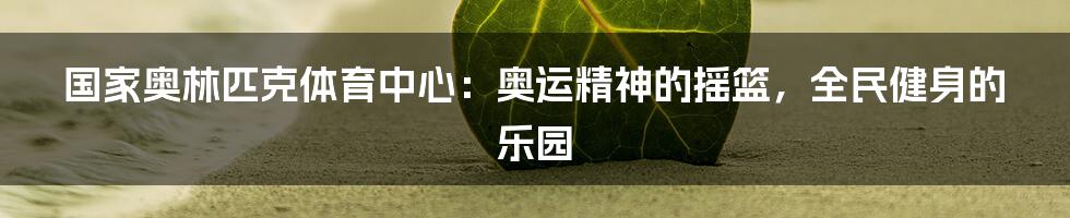 国家奥林匹克体育中心:奥运精神的摇篮,全民健身的乐园