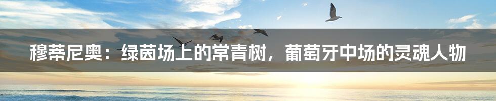 穆蒂尼奥:绿茵场上的常青树,葡萄牙中场的灵魂人物