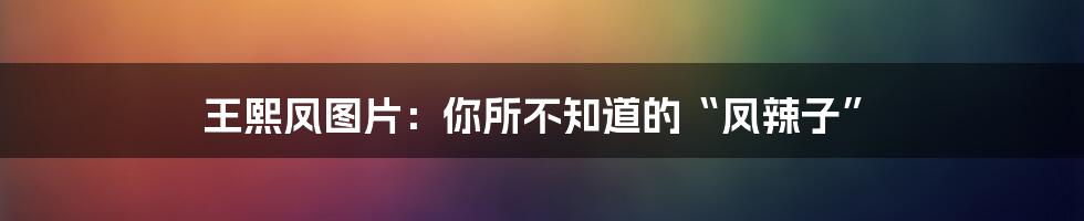 王熙凤图片:你所不知道的“凤辣子”