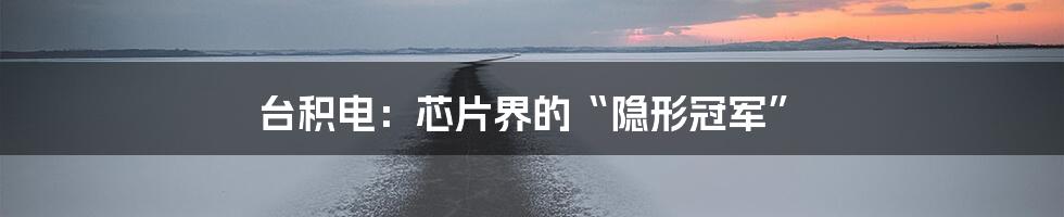 台积电：芯片界的“隐形冠军”