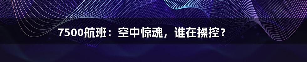 7500航班:空中惊魂,谁在操控?