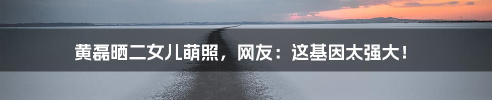 黄磊晒二女儿萌照,网友:这基因太强大!