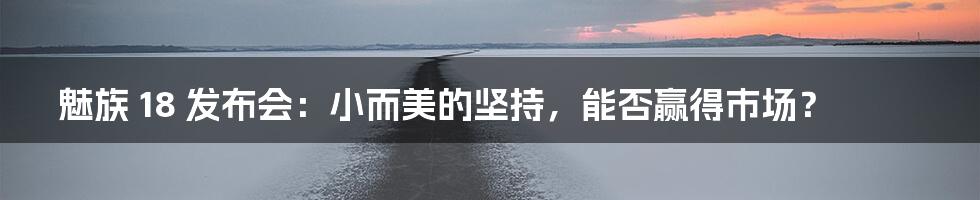 魅族 18 发布会:小而美的坚持,能否赢得市场?
