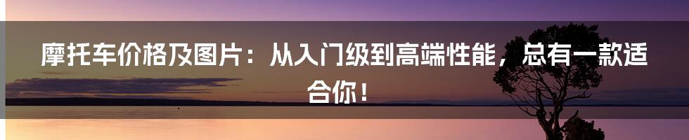 摩托车价格及图片:从入门级到高端性能,总有一款适合你!