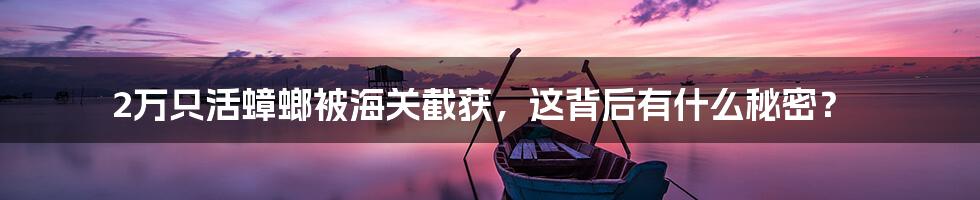 2万只活蟑螂被海关截获，这背后有什么秘密？