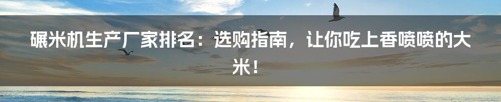 碾米机生产厂家排名:选购指南,让你吃上香喷喷的大米!