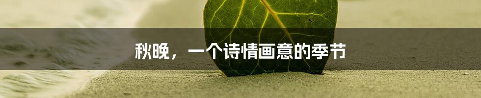 秋晚,一个诗情画意的季节