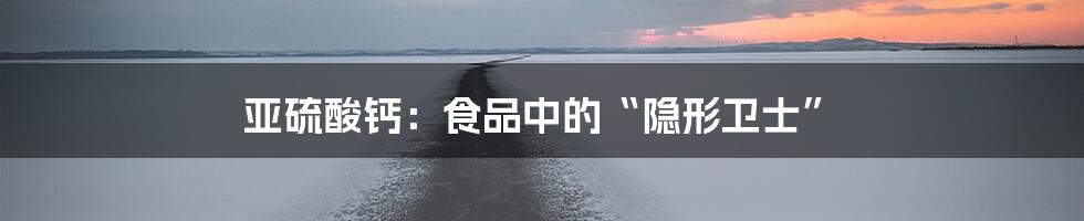 亚硫酸钙:食品中的“隐形卫士”
