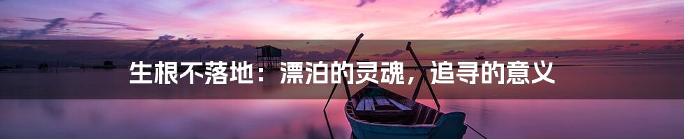生根不落地:漂泊的灵魂,追寻的意义