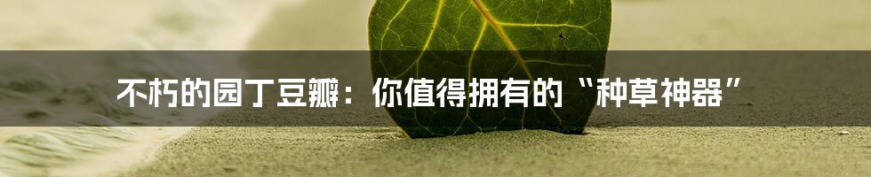 不朽的园丁豆瓣:你值得拥有的“种草神器”