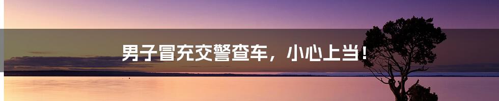 男子冒充交警查车,小心上当!