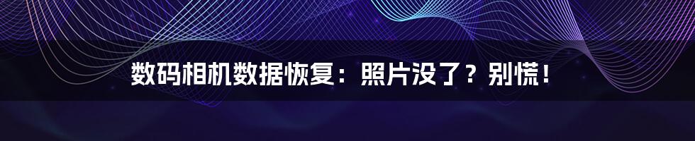 数码相机数据恢复:照片没了?别慌!