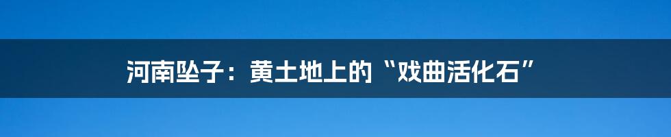 河南坠子:黄土地上的“戏曲活化石”