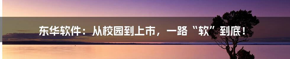 东华软件:从校园到上市,一路“软”到底!