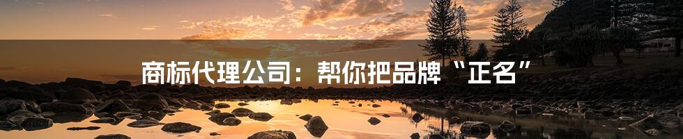 商标代理公司:帮你把品牌“正名”