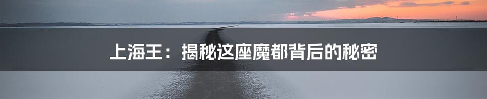 上海王:揭秘这座魔都背后的秘密