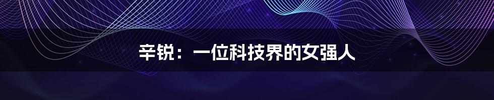 辛锐:一位科技界的女强人