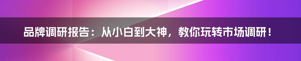 品牌调研报告:从小白到大神,教你玩转市场调研!