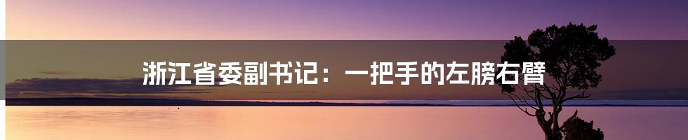 浙江省委副书记:一把手的左膀右臂