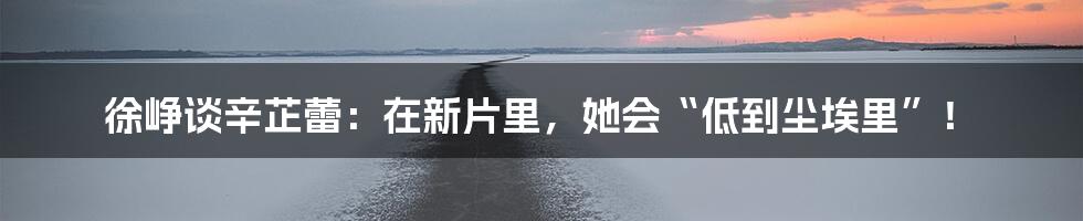徐峥谈辛芷蕾:在新片里,她会“低到尘埃里”!