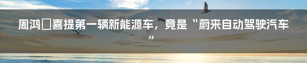 周鸿祎喜提第一辆新能源车,竟是“蔚来自动驾驶汽车”