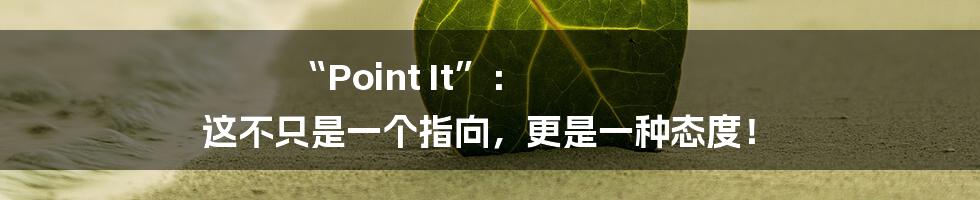 “Point It”: 这不只是一个指向,更是一种态度!