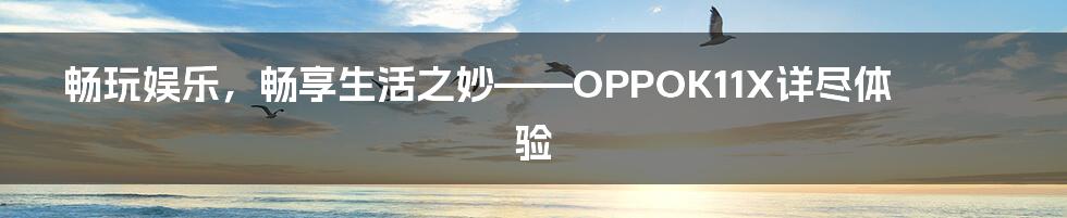 畅玩娱乐,畅享生活之妙——OPPOK11X详尽体验