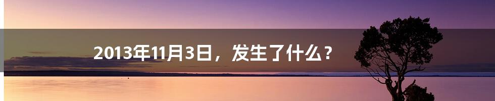 2013年11月3日,发生了什么?