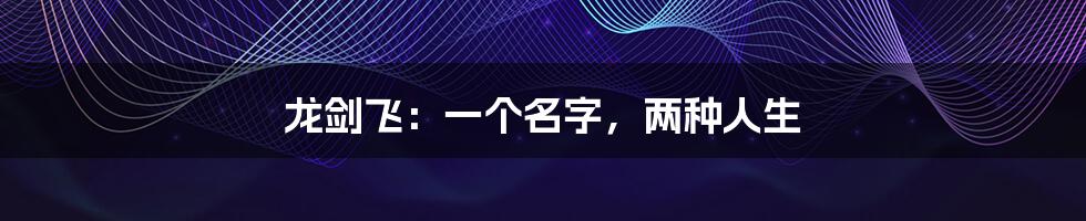 龙剑飞:一个名字,两种人生