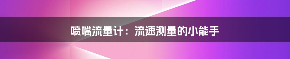 喷嘴流量计:流速测量的小能手